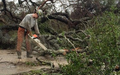 Worker safety during disaster recovery