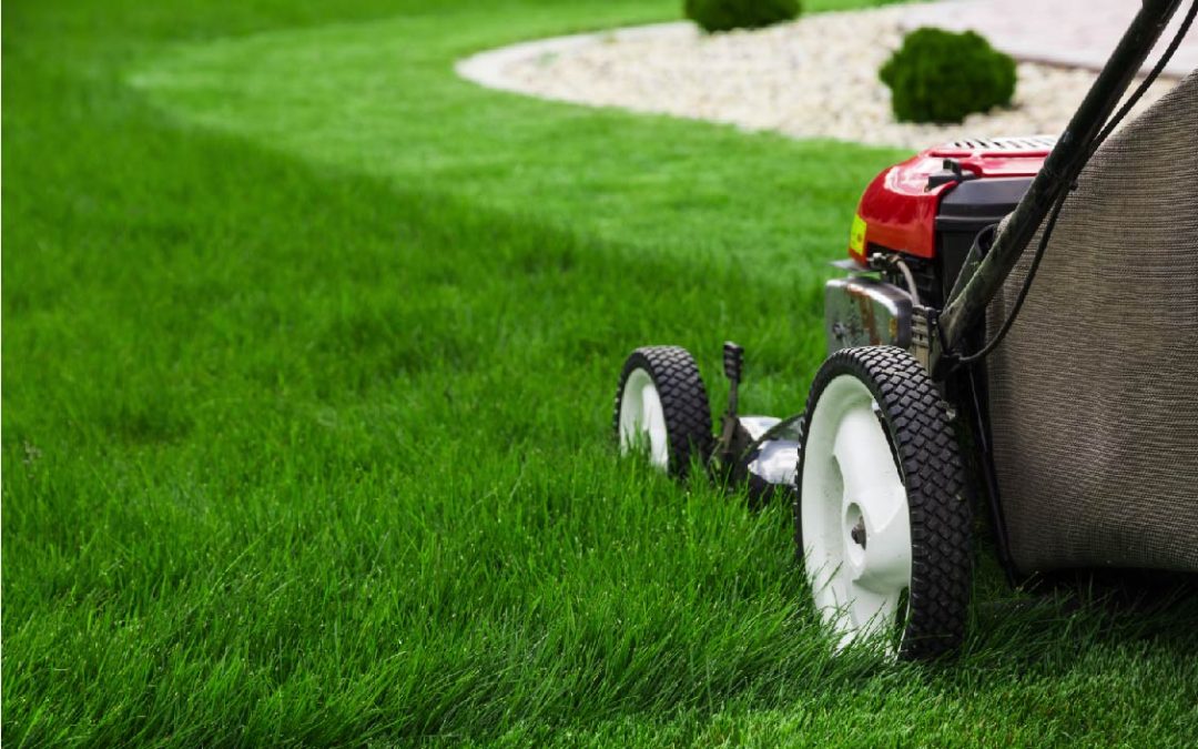 Top 10 tips for injury-free lawn mowing