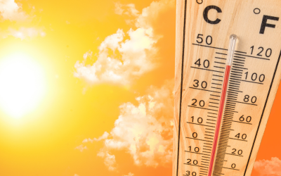 Heat-Related Illnesses and the Critical Importance of Training to Save Lives