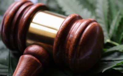Expected changes to the federal marijuana designation and the potential safety repercussions